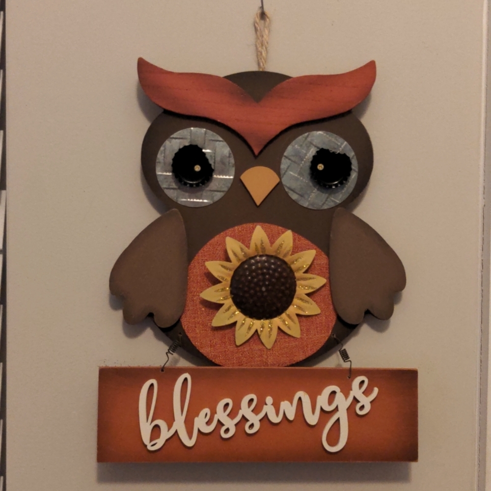 NWT Blessings Owl Hanging 12" x 9.5"